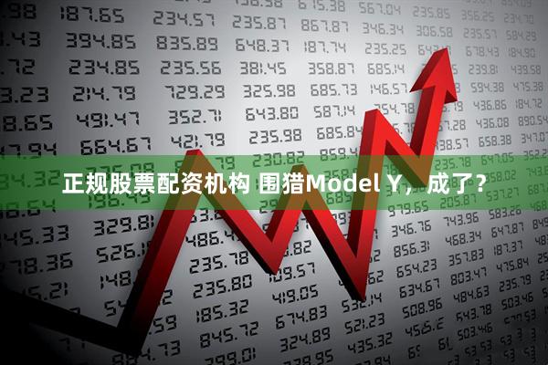 正规股票配资机构 围猎Model Y，成了？