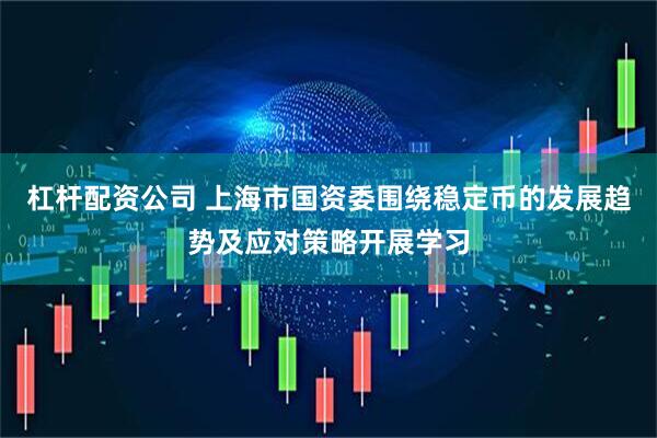 杠杆配资公司 上海市国资委围绕稳定币的发展趋势及应对策略开展学习