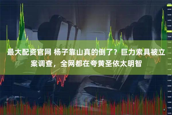 最大配资官网 杨子靠山真的倒了？巨力索具被立案调查，全网都在夸黄圣依太明智