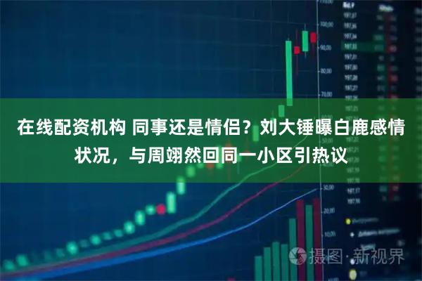 在线配资机构 同事还是情侣？刘大锤曝白鹿感情状况，与周翊然回同一小区引热议