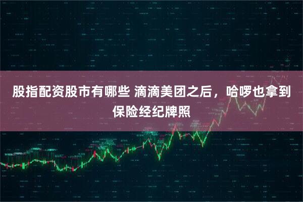 股指配资股市有哪些 滴滴美团之后，哈啰也拿到保险经纪牌照